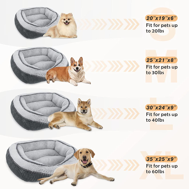 Dogs landing calming outlet bed